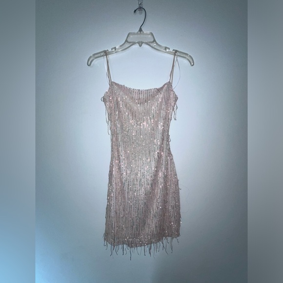 NWT Cassie Sequin Fringe Dress in Pink - Size L - Picture 6 of 10